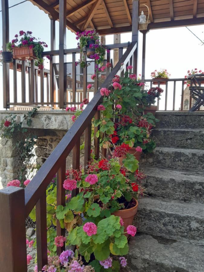 Casa Do Pelourinho Βίλα Rebordainhos Εξωτερικό φωτογραφία